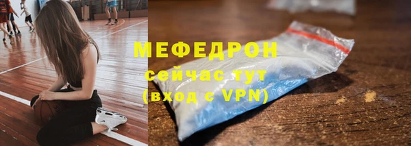 мдпв Ельня