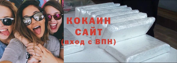 мдпв Ельня