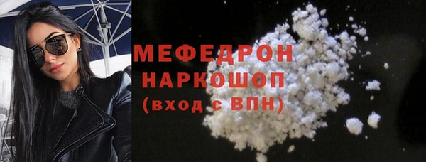 мдпв Ельня