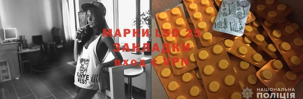 мдпв Ельня