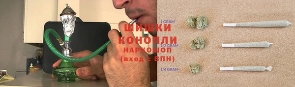 мдпв Ельня