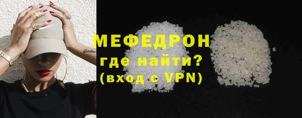 мдпв Ельня