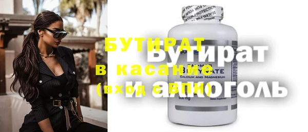 мдпв Ельня