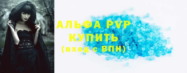 мдпв Ельня
