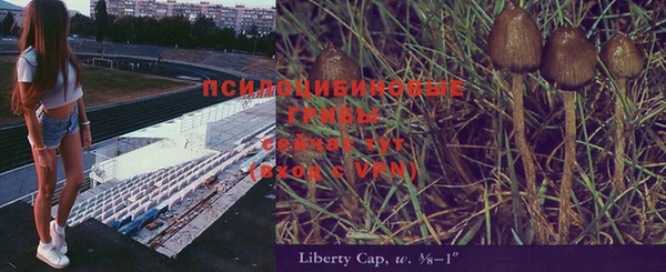мдпв Ельня