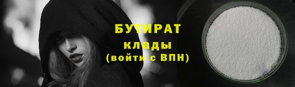 мдпв Ельня