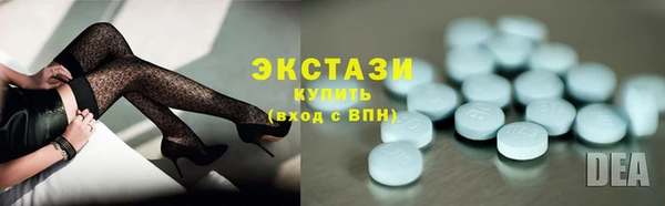 мдпв Ельня