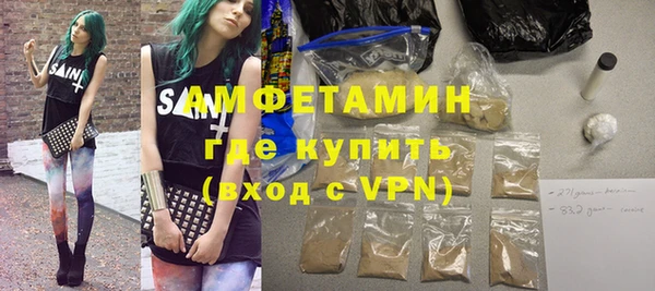 мдпв Ельня