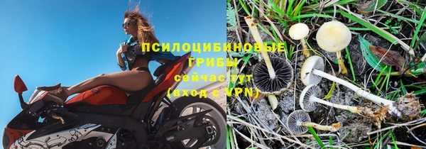 экстази Елизово