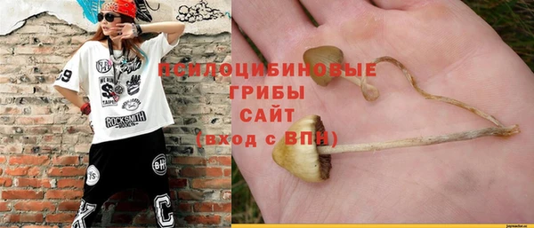 экстази Елизово