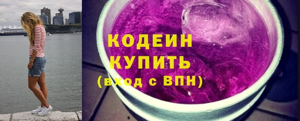мдпв Ельня